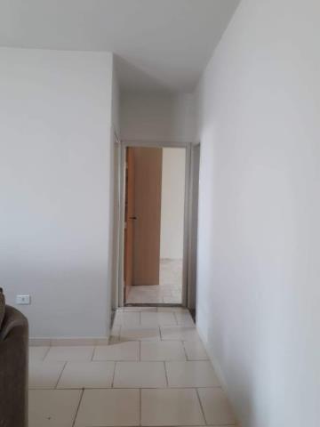 imagem 3 - Apartamento térreo à venda no Bairro Cidade Jardim imagem 3 - Apartamento térreo à venda no Bairro Cidade Jardim