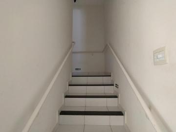 Apartamento para locação bairro Saraiva