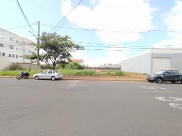 imagem 5 - Terreno - Padrão imagem 5 - Terreno - Padrão