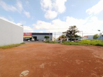 imagem 3 - Terreno - Padrão imagem 3 - Terreno - Padrão