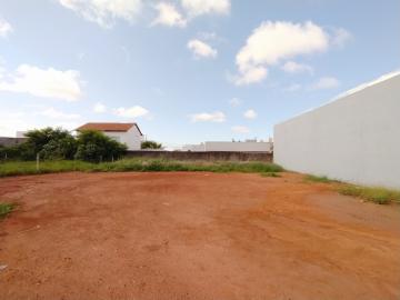 imagem 4 - Terreno - Padrão imagem 4 - Terreno - Padrão