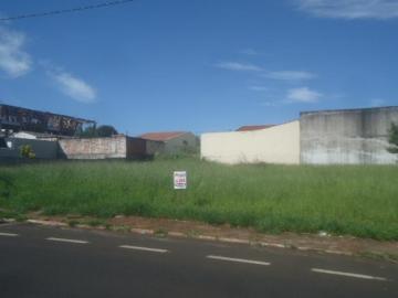 imagem 1 - Terreno - Padrão imagem 1 - Terreno - Padrão