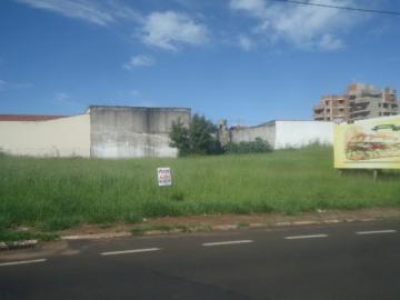 imagem 2 - Terreno - Padrão imagem 2 - Terreno - Padrão