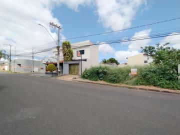 imagem 4 - Terreno - Padrão imagem 4 - Terreno - Padrão