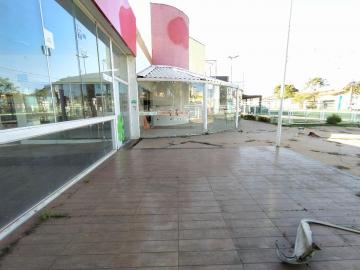 imagem 3 - Loja comercial para locação bairro Santa Mônica imagem 3 - Loja comercial para locação bairro Santa Mônica