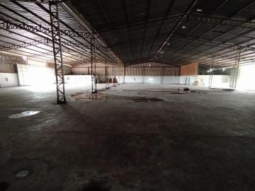 imagem 5 - Galpão para locação no Bairro São Jorge imagem 5 - Galpão para locação no Bairro São Jorge