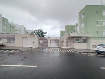 imagem 1 - Apartamento para Locação e Venda no Bairro Presidente Rosevelt imagem 1 - Apartamento para Locação e Venda no Bairro Presidente Rosevelt