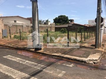 imagem 1 - Terrenos à venda no Bairro Santa Mônica imagem 1 - Terrenos à venda no Bairro Santa Mônica