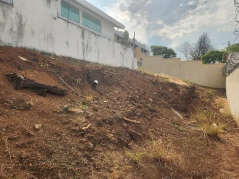 imagem 4 - Terreno à venda no Bairro Vigilato Pereira imagem 4 - Terreno à venda no Bairro Vigilato Pereira