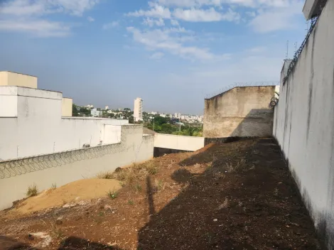 Terreno à venda no Bairro Vigilato Pereira