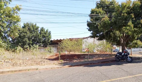 imagem 1 - Terreno - Padrão imagem 1 - Terreno - Padrão