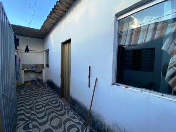 imagem 5 - Casa a venda Bairro São Jorge imagem 5 - Casa a venda Bairro São Jorge