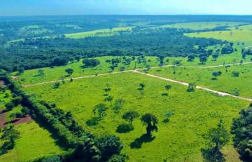 imagem 2 - Lotes p\ chácaras de 10.000 e 20.000 m² imagem 2 - Lotes p\ chácaras de 10.000 e 20.000 m²