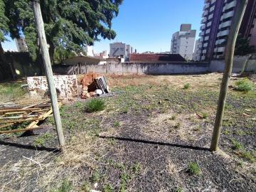 imagem 2 - Terreno para locação no bairro Saraiva imagem 2 - Terreno para locação no bairro Saraiva