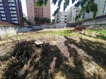 imagem 3 - Terreno para locação no bairro Saraiva imagem 3 - Terreno para locação no bairro Saraiva
