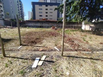 imagem 4 - Terreno para locação no bairro Saraiva imagem 4 - Terreno para locação no bairro Saraiva