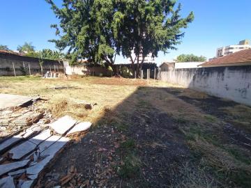 imagem 5 - Terreno para locação no bairro Saraiva imagem 5 - Terreno para locação no bairro Saraiva