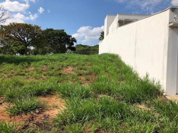imagem 1 - Terreno á Venda. imagem 1 - Terreno á Venda.