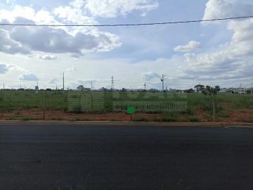 imagem 1 - Terreno à Venda na Zona Sul imagem 1 - Terreno à Venda na Zona Sul