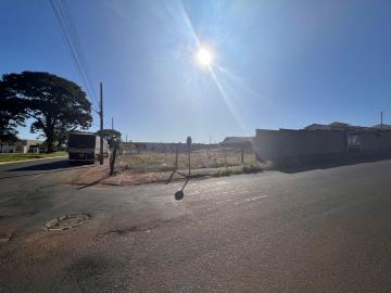 imagem 3 - Área à Venda imagem 3 - Área à Venda