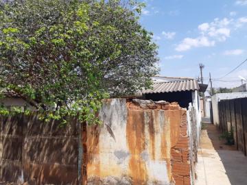 imagem 5 - Casa para venda e locacão no Bairro Martins imagem 5 - Casa para venda e locacão no Bairro Martins