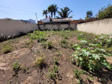 imagem 4 - Terreno para locação e venda no bairro Lagoinha. imagem 4 - Terreno para locação e venda no bairro Lagoinha.