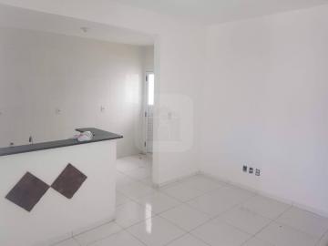 imagem 3 - Apartamento - Padrão imagem 3 - Apartamento - Padrão