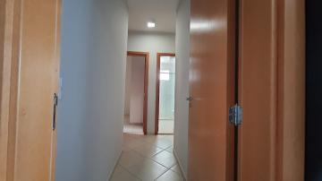 imagem 4 - Apartamento Para Venda Centro imagem 4 - Apartamento Para Venda Centro