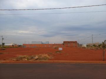 imagem 2 - Terreno comercial para locação no bairro Novo Mundo imagem 2 - Terreno comercial para locação no bairro Novo Mundo