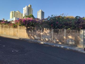 imagem 1 - Terreno - Padrão imagem 1 - Terreno - Padrão