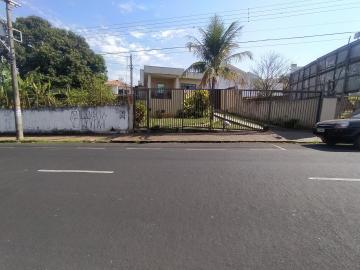 imagem 2 - Casa residencial e comercial para locação no bairro Tabajaras imagem 2 - Casa residencial e comercial para locação no bairro Tabajaras