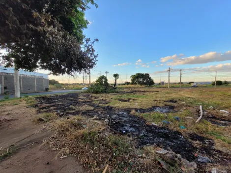 imagem 2 - Terreno á venda no Bairro Luizote de Freitas imagem 2 - Terreno á venda no Bairro Luizote de Freitas
