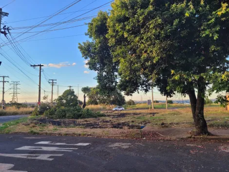 imagem 3 - Terreno á venda no Bairro Luizote de Freitas imagem 3 - Terreno á venda no Bairro Luizote de Freitas
