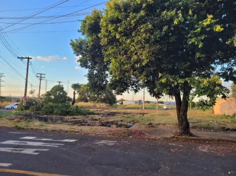 imagem 4 - Terreno á venda no Bairro Luizote de Freitas imagem 4 - Terreno á venda no Bairro Luizote de Freitas