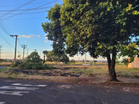 imagem 5 - Terreno á venda no Bairro Luizote de Freitas imagem 5 - Terreno á venda no Bairro Luizote de Freitas