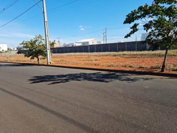 Terreno para venda no bairro Novo Mundo.