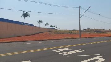 Uberlandia Segismundo Pereira Area Venda R$15.600.000,00  Area do terreno 19500.00m2 