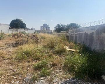 Terreno à Venda no Bairro Santa Mônica