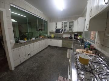 Apartamento/Sobrado à venda Bairro Osvaldo Rezende