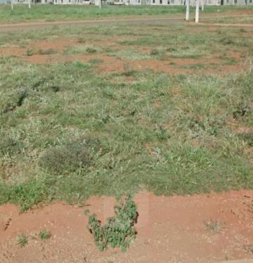 imagem 4 - Terreno à venda no Bairro Novo Mundo imagem 4 - Terreno à venda no Bairro Novo Mundo