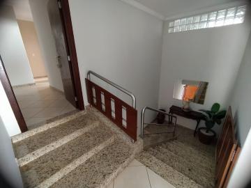 imagem 5 - Casa à venda no Bairro Cidade Jardim imagem 5 - Casa à venda no Bairro Cidade Jardim