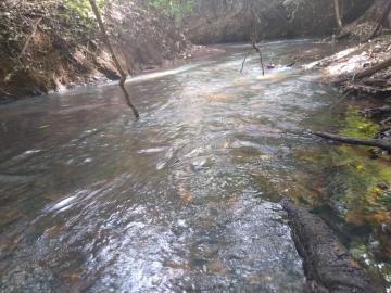 Área Rural à venda