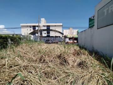 imagem 4 - Terreno - Padrão imagem 4 - Terreno - Padrão