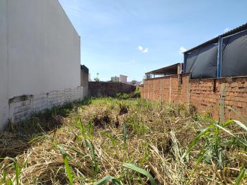 imagem 3 - Terreno - Padrão imagem 3 - Terreno - Padrão