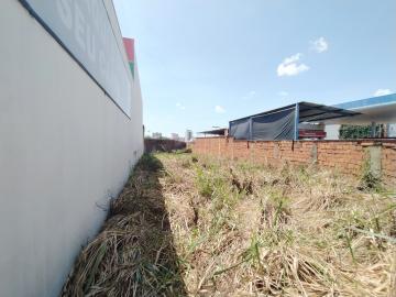 imagem 2 - Terreno - Padrão imagem 2 - Terreno - Padrão