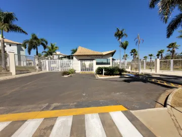 imagem 1 - Apartamento para locação e venda no Bairro Laranjeiras imagem 1 - Apartamento para locação e venda no Bairro Laranjeiras
