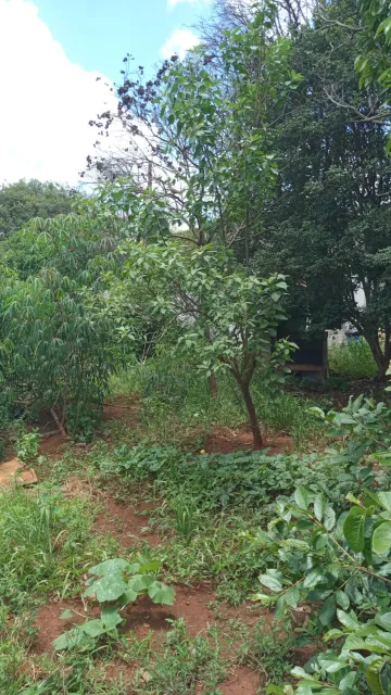 Lote à Venda no Bairro Morada da Colina