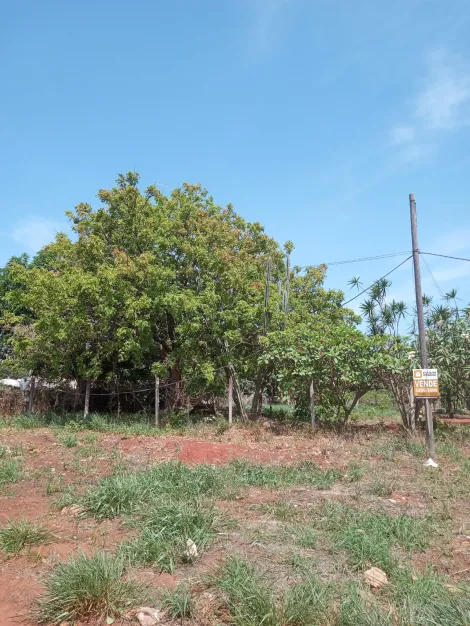 imagem 4 - Chácara Para Venda Nas Chácaras Andorinhas Em Uberlândia imagem 4 - Chácara Para Venda Nas Chácaras Andorinhas Em Uberlândia
