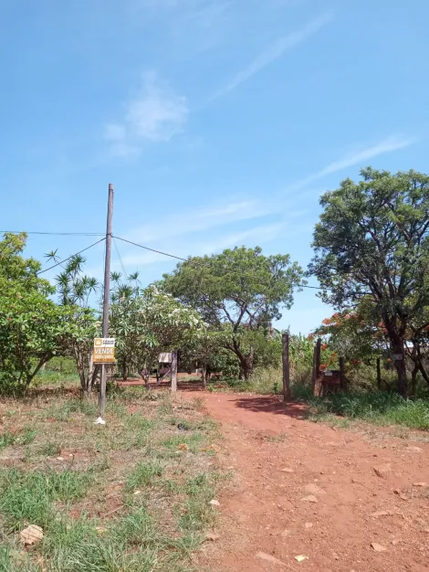 imagem 5 - Chácara Para Venda Nas Chácaras Andorinhas Em Uberlândia imagem 5 - Chácara Para Venda Nas Chácaras Andorinhas Em Uberlândia
