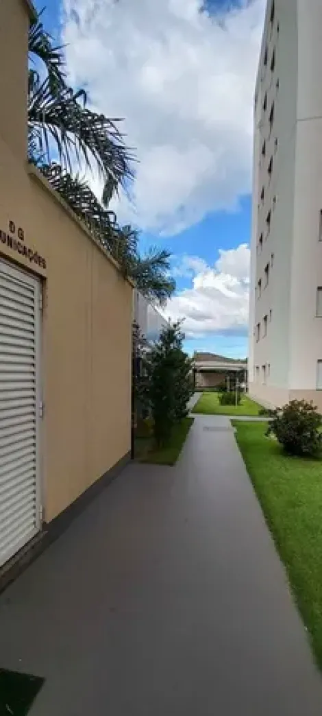 imagem 1 - Apartamento para venda no bairro Laranjeiras imagem 1 - Apartamento para venda no bairro Laranjeiras